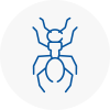 Ant Removals In Cudworth