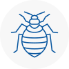 Bed Bug Extermination In Cudworth