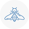 Bee Nest Removal Cudworth