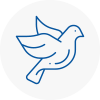 Bird Prevention Cudworth
