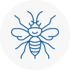 Cudworth Hornet Nest Removals