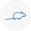 Mice Exterminators In Cudworth