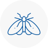 Moth Control Specialists In Cudworth