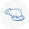 Rat Control Cudworth