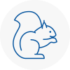 Cudworth Rodent Removals