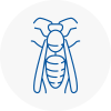 Cudworth Wasp Nest Removal